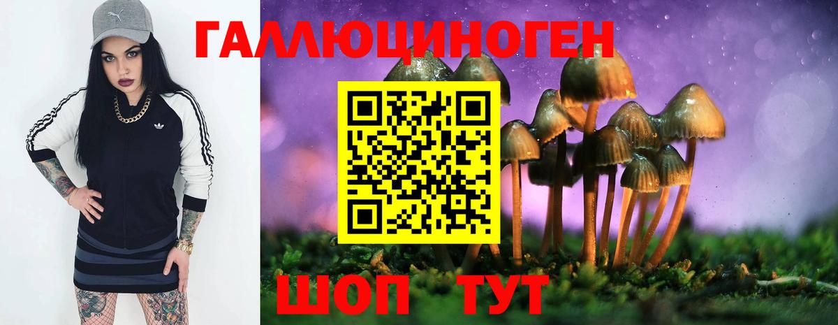 купить наркоту  Вход с VPN  Дмитров  Псилоцибиновые грибы мухоморы 