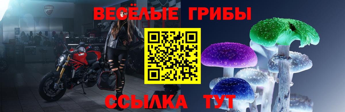 Псилоцибиновые грибы мицелий Дмитров